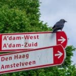 Amsterdam West bezoeken