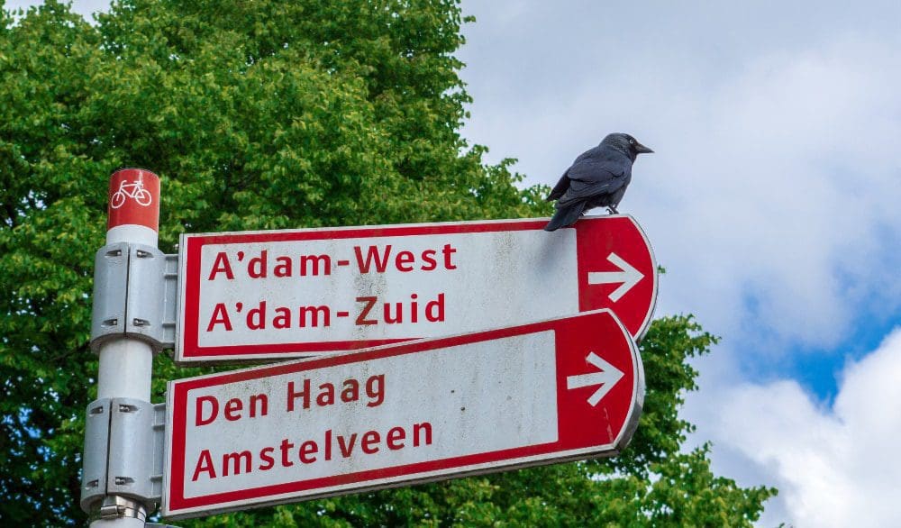 Amsterdam West