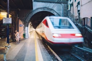 Gratis treinreis voor je hond in Italie