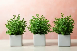 Kunstpalnten kiezen Het toevoegen van groen aan je ruimte waarom kiezen voor een kunstplant
kunstplanten versus echte planten