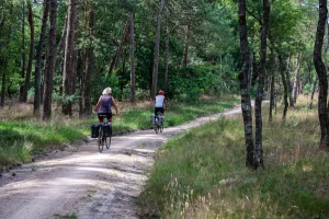 Ontdek de Veluwe: wandelen, fietsen en scooteren in de natuur