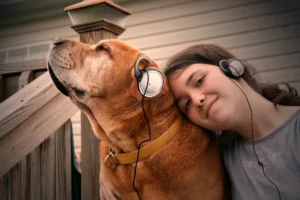 Veilig muziek luisteren: geniet zonder gehoorschade