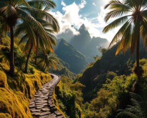 Ontdek de levada’s en bergpaden van betoverend Madeira