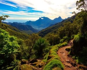 Wandelen op Madeira: van groene dalen tot ruige bergtoppen