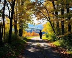 Waarom voelt een wandeling tijdens lunch zo goed?